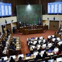 Columna de Cristóbal Osorio: Zoom al proceso legislativo, qué dicen los números