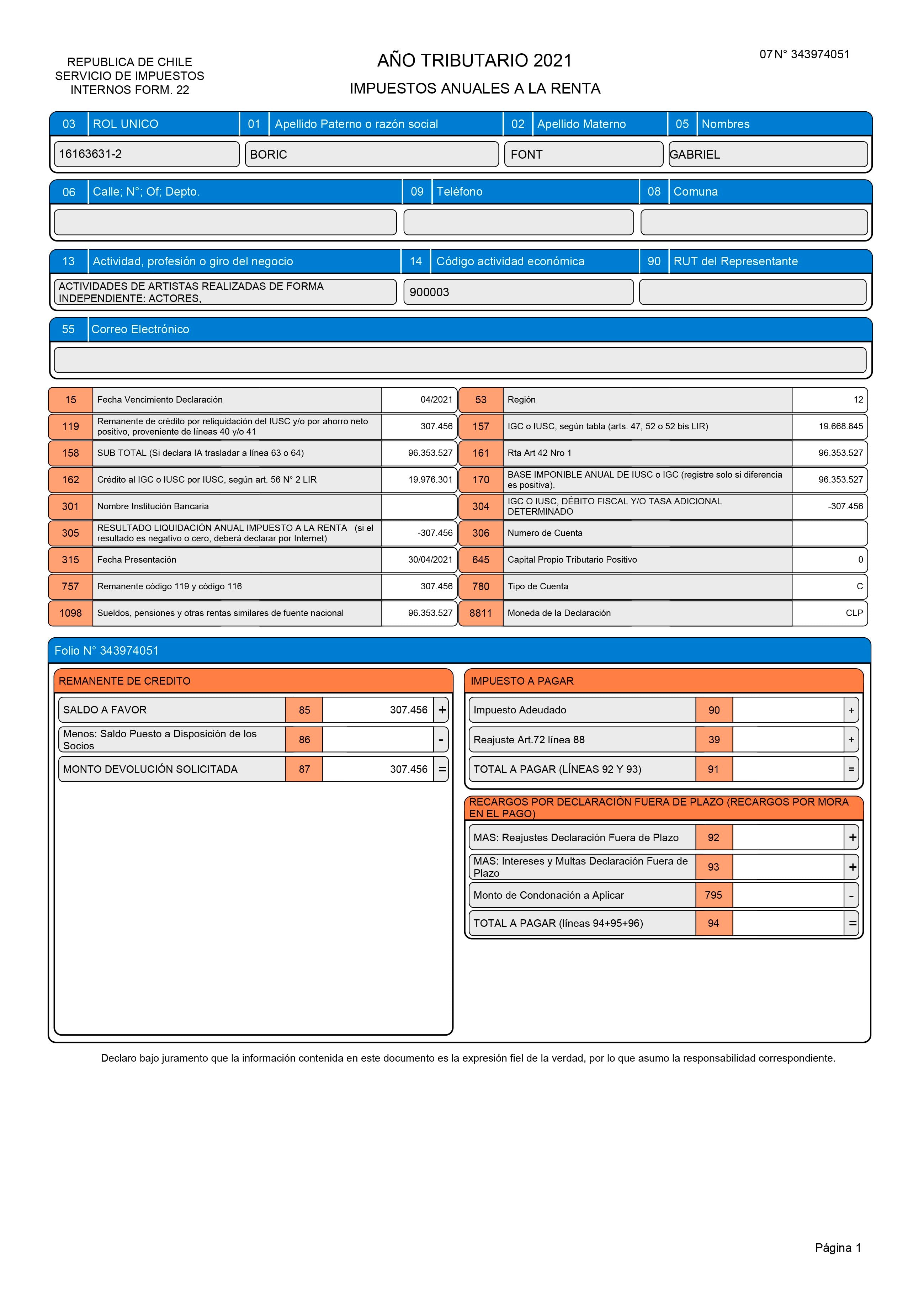 documento boric