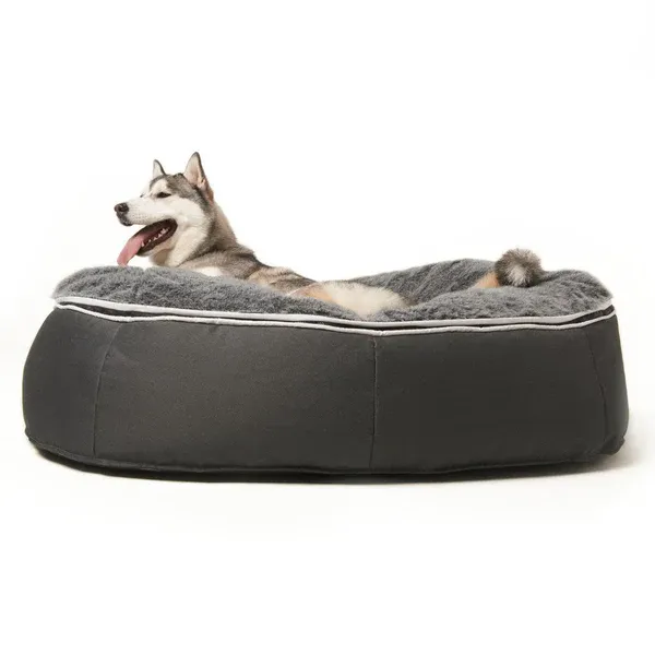 Cama para perro Dog Lounge