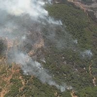 Con información satelital: chileno crea sistema que predice dónde podría ocurrir un incendio forestal