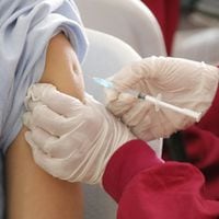Finlandia empezará a vacunar a personas contra la gripe aviar