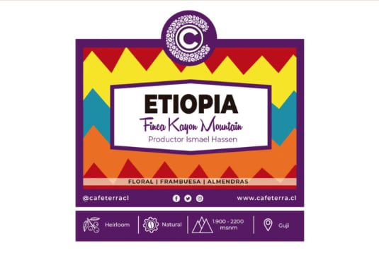 Café Terra Etiopía