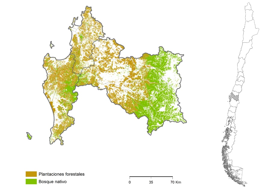 Región del Biobío