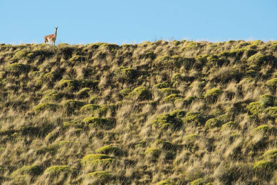 parque-patagonia-1-900x600.jpg