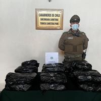Detienen a dos sujetos que se transportaban con más de 18 kilos de droga en un bus a Talcahuano