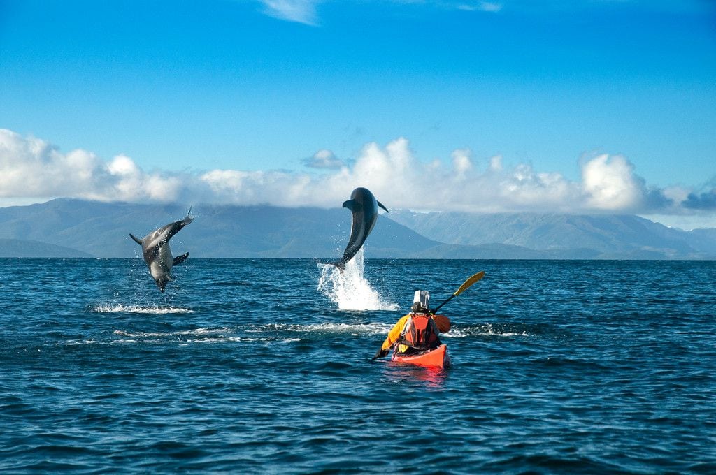 Kayak Agua Fresca Magallanes