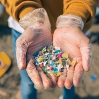 Día del Medio Ambiente: el relato de empresas para superar el desafío de la contaminación por plásticos