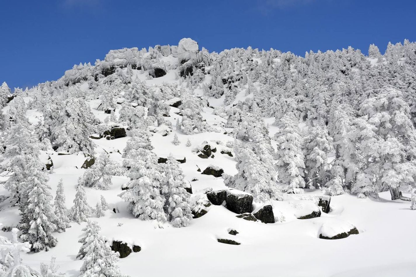 Sierra de Cebollera