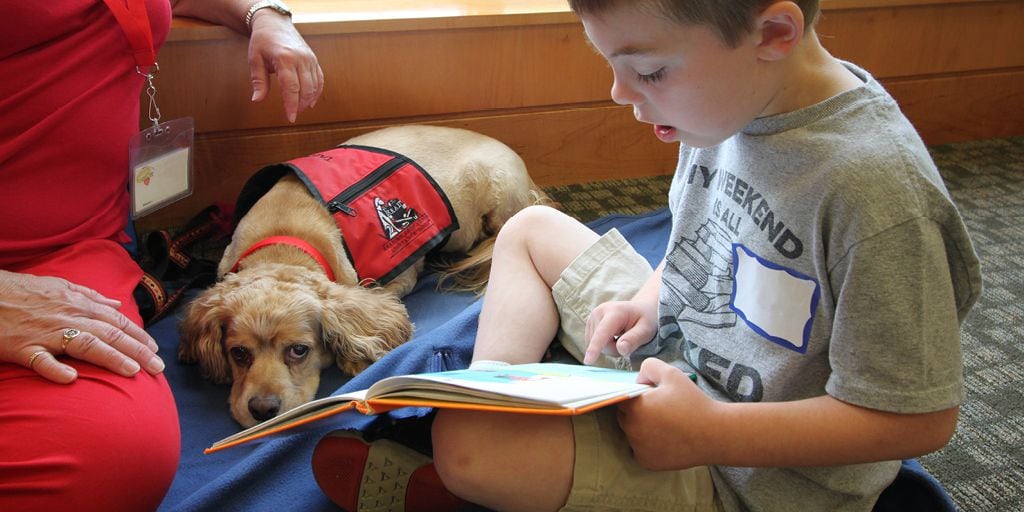 Perro enseñando a leer