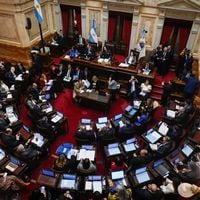 Senado de Argentina aprueba “reforma estrella” de Milei en medio de violentas protestas sociales