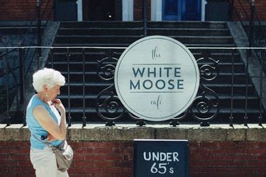 the-white-moose