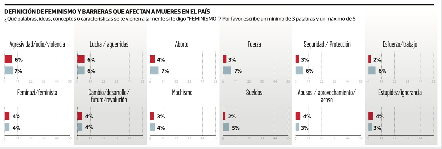 Grafico feminismo 3