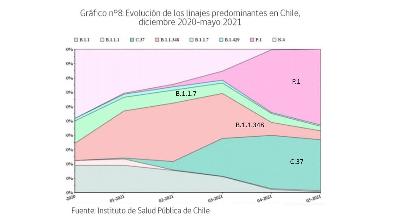 variantes ISP