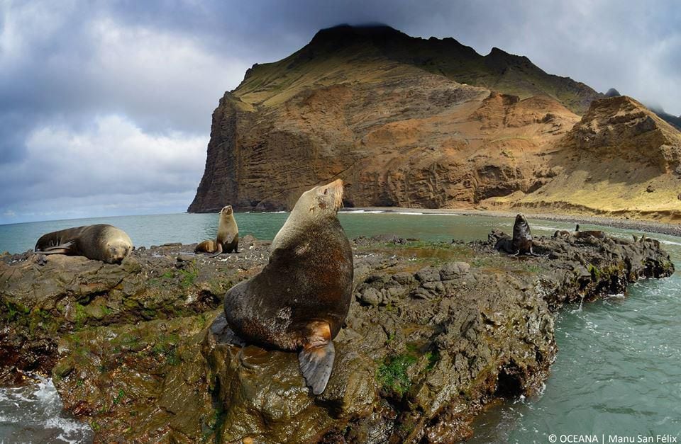 La dramática desaparición de las Islas Desventuradas en los últimos 50 años