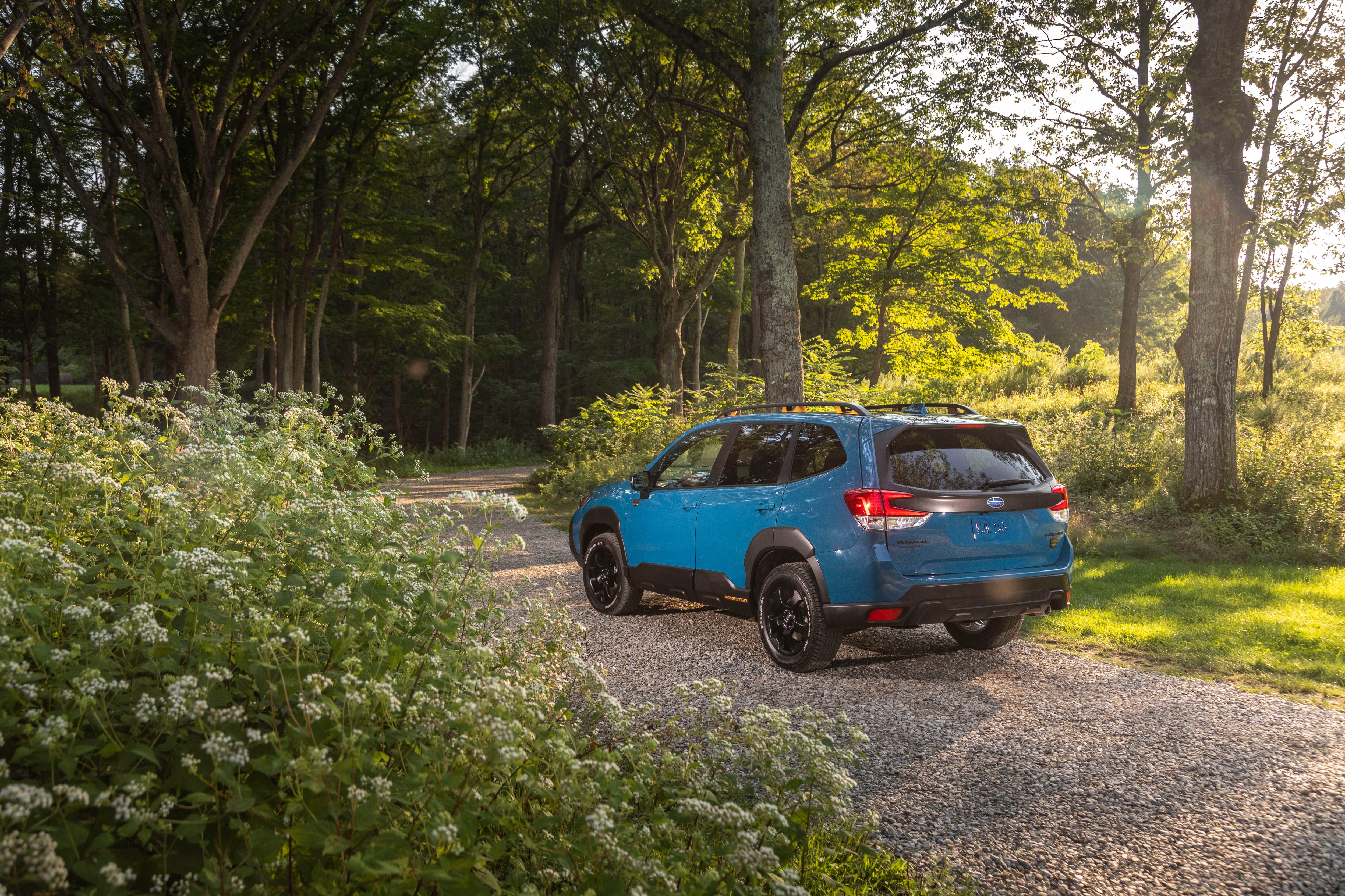 Subaru Forester Wilderness