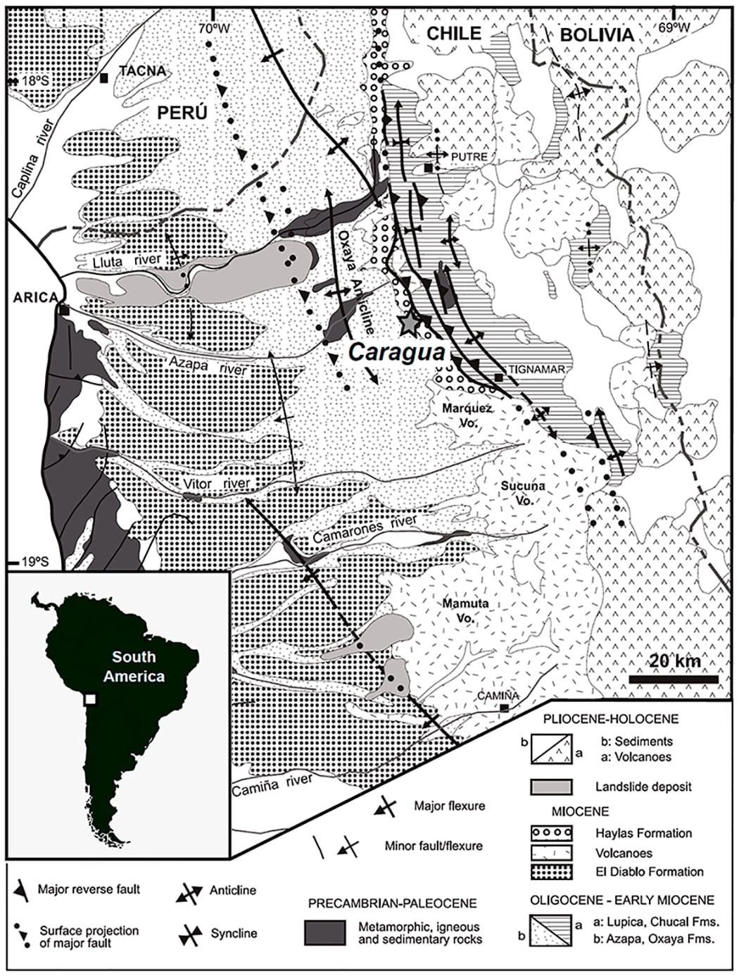 descubrimiento mamífero