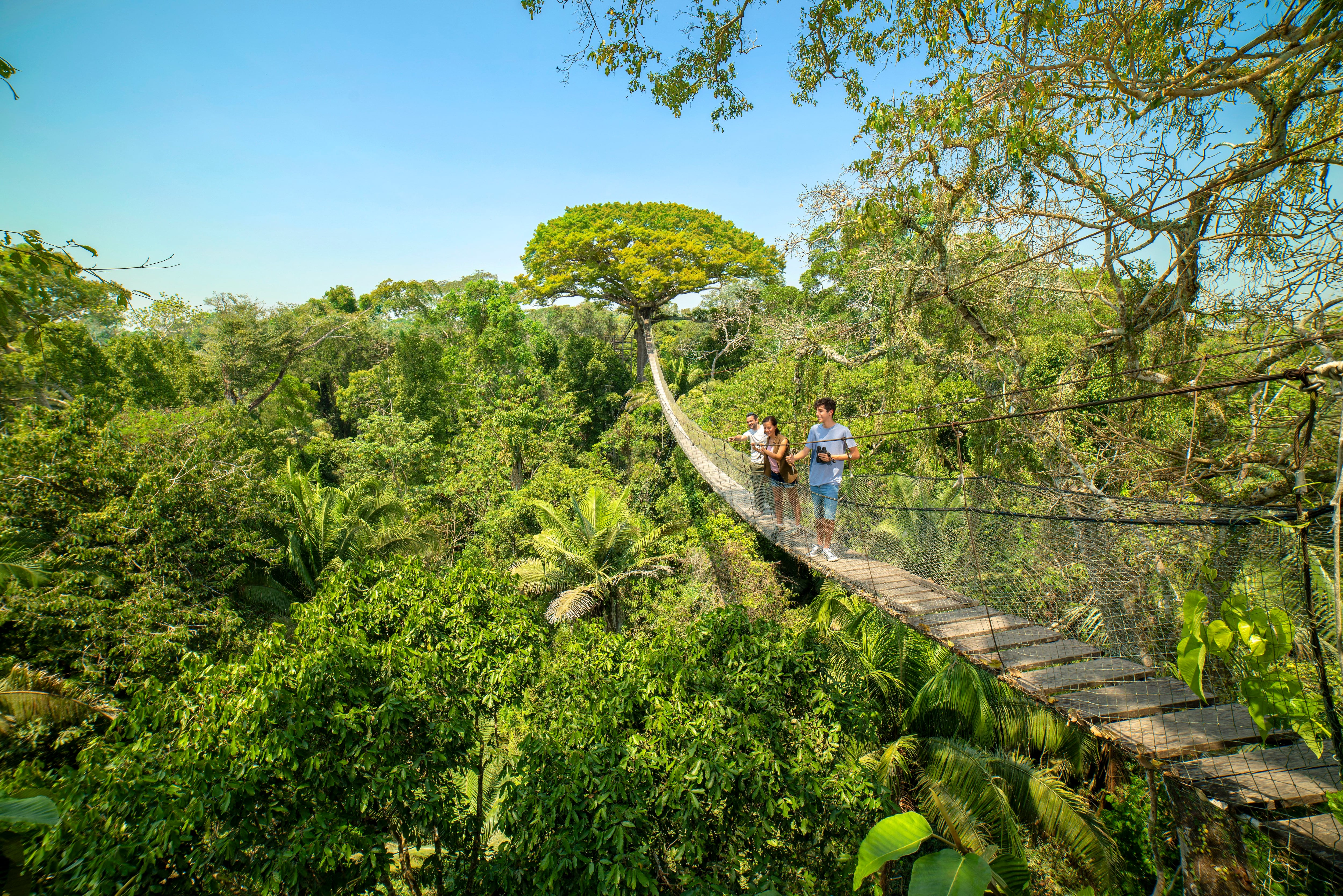 TEMAS PROMPERÚ - regiones de Loreto y Madre de Dios