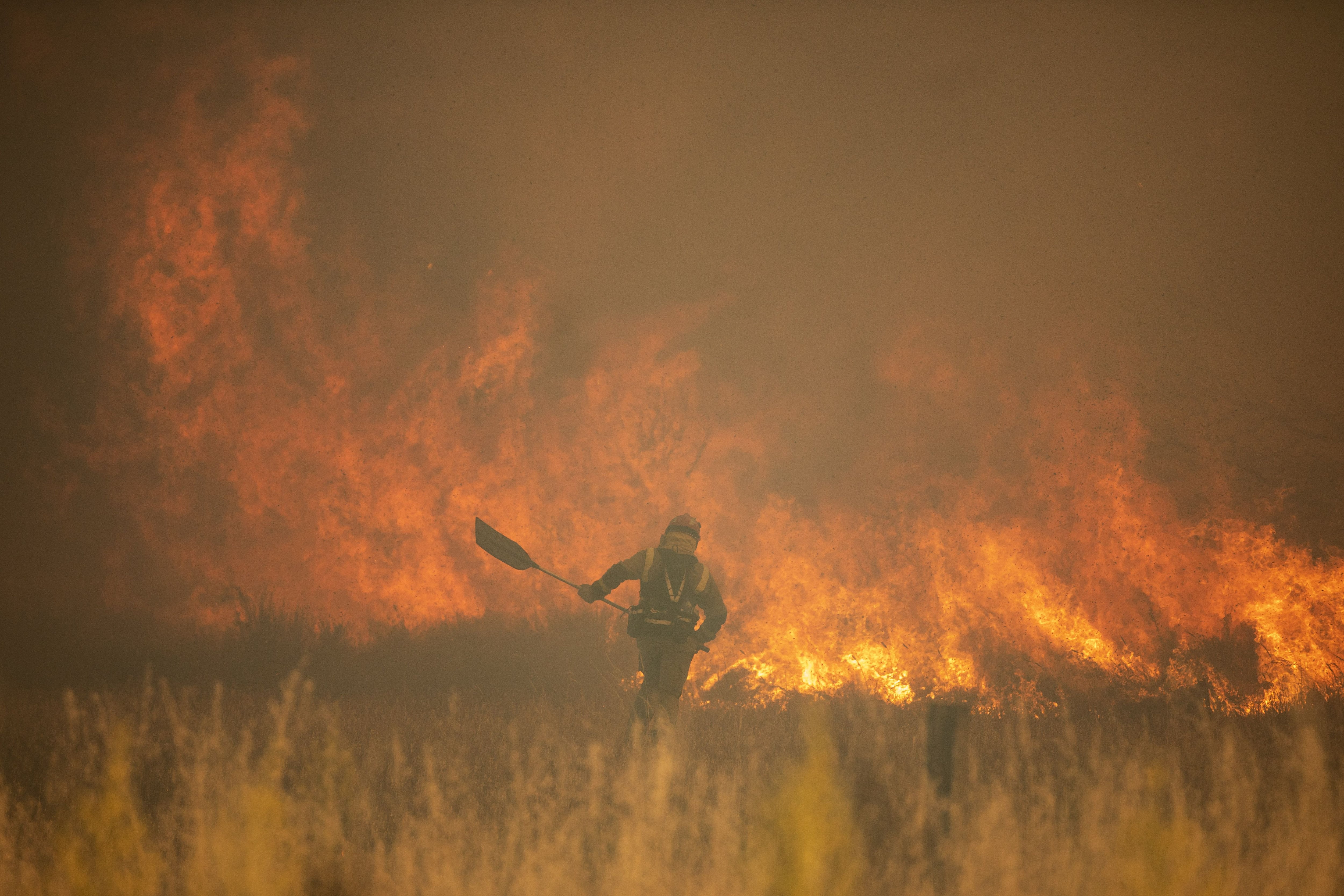 Efectivos de bomberos durante el incendio de la Sierra de la Culebra, a 18 de junio de 2022, en Zamora, Castilla y León (España). Este incendio, que continúa en nivel 2 de riesgo, ha calcinado ya cerca de 20.000 hectáreas en el oeste de la provincia y ha