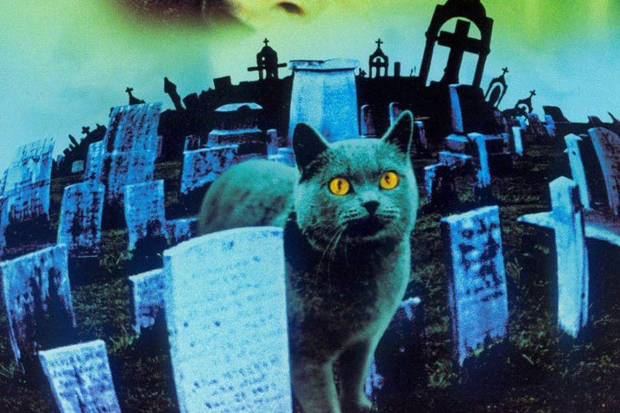 Кладбище домашних животных рамонес. Sematary фон.