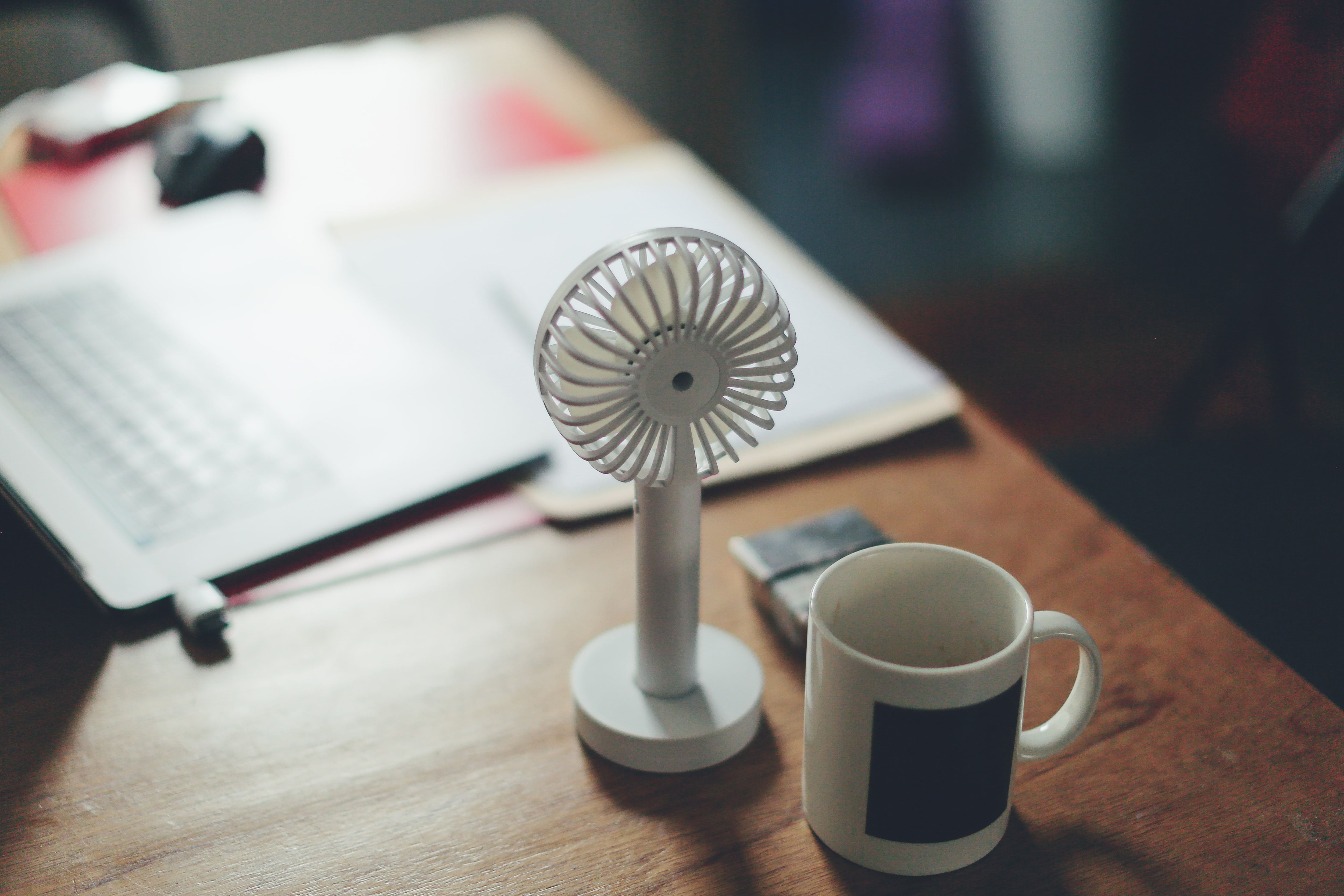 Ventilación e Hidratación.