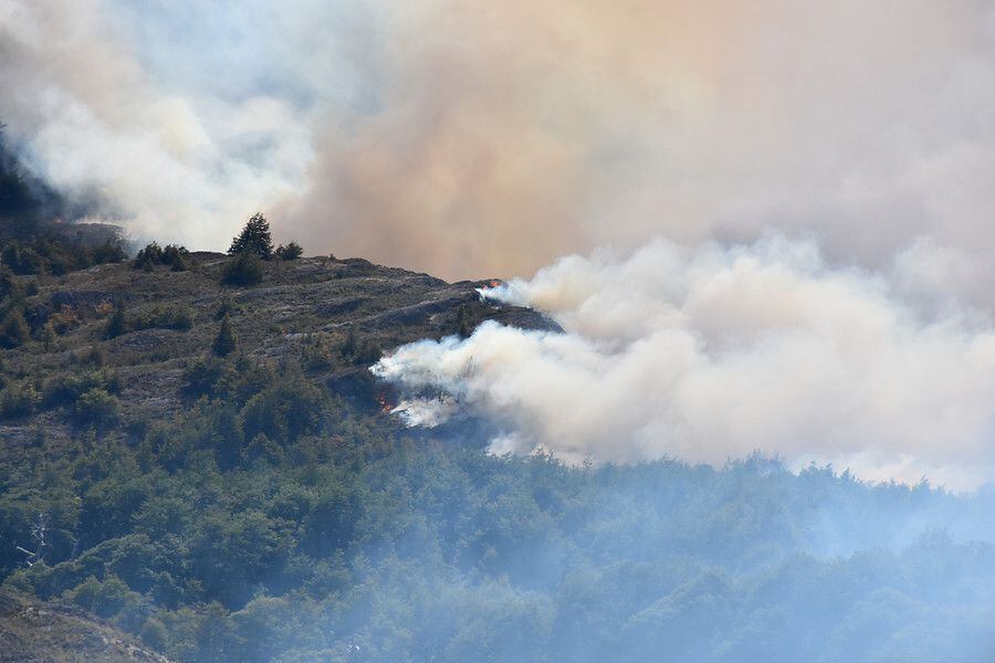 Preocupación Por Incendios Forestales En Paredones Y Pumanque