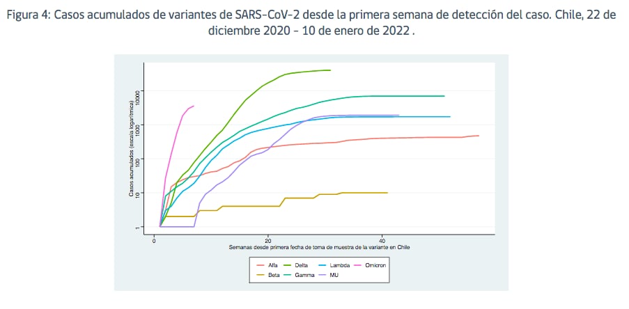 Gráfico omicron delta coronavirus covid