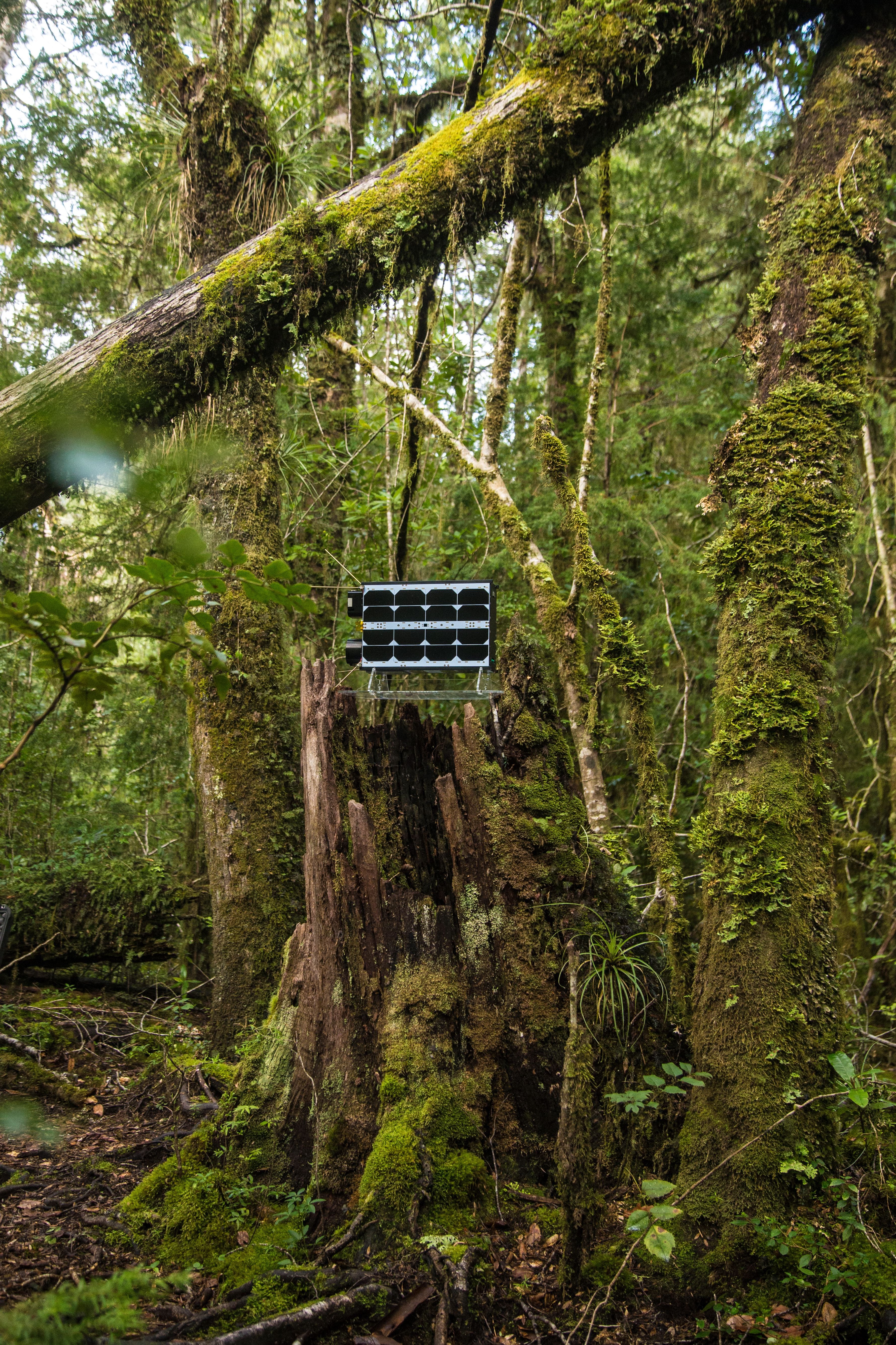 Satélite LEMU en el bosque