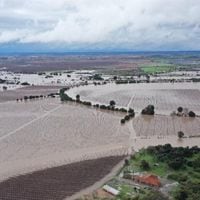 Presidente del Senado pide decretar emergencia agrícola para la Región de la Araucanía