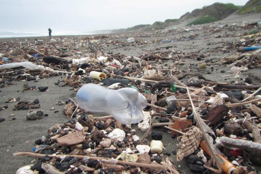 Playa Ritoque. Foto Martin Thiel