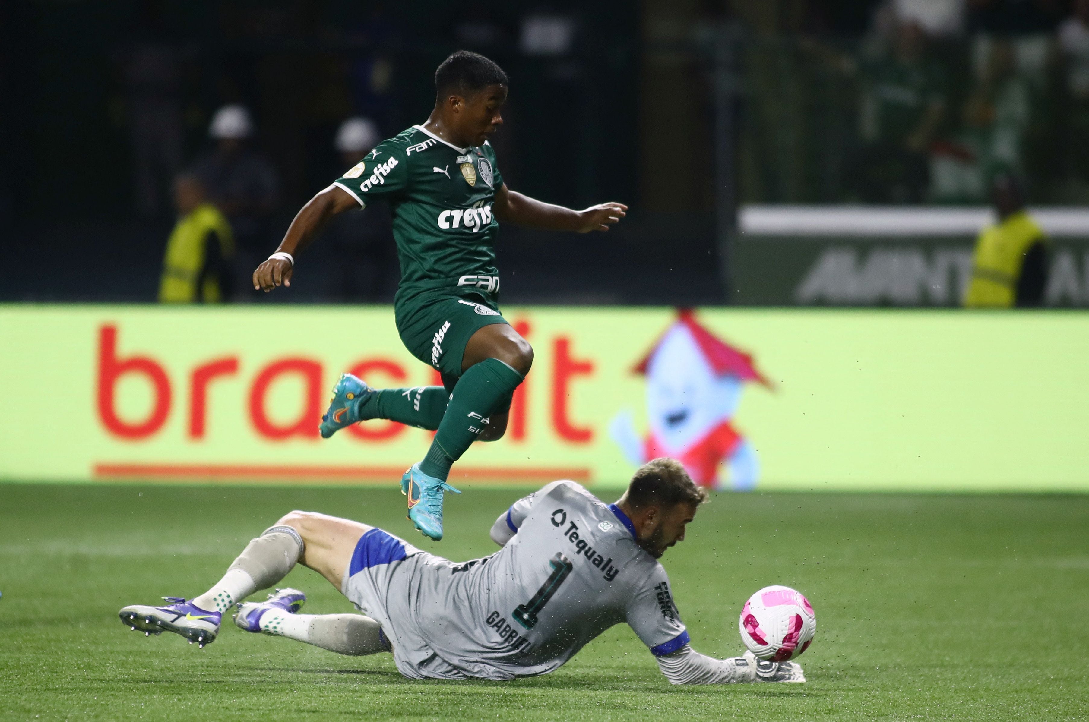 Brasileiro Championship - Palmeiras v Coritiba