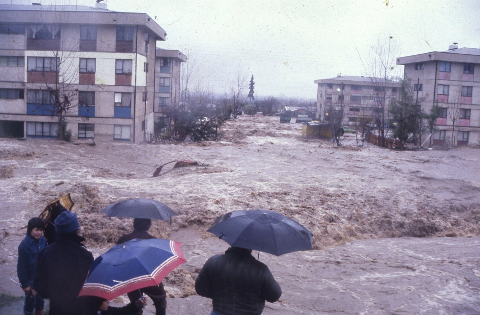 A 40 años del gran temporal de 1982: ¿podría repetirse esta temporada tras las lluvias del martes?