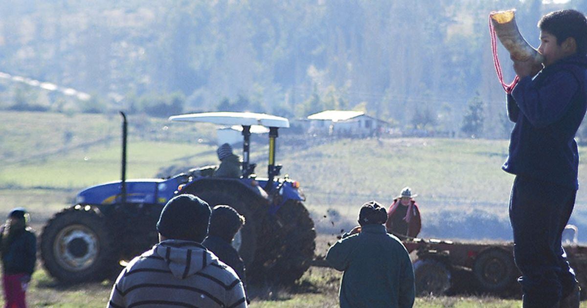 Qué es Temucuicui: dónde queda y quiénes viven ahí, Nacional