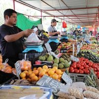 Tras IPC negativo, Canasta Básica de Alimentos anotaría su menor alza anual desde enero de 2022