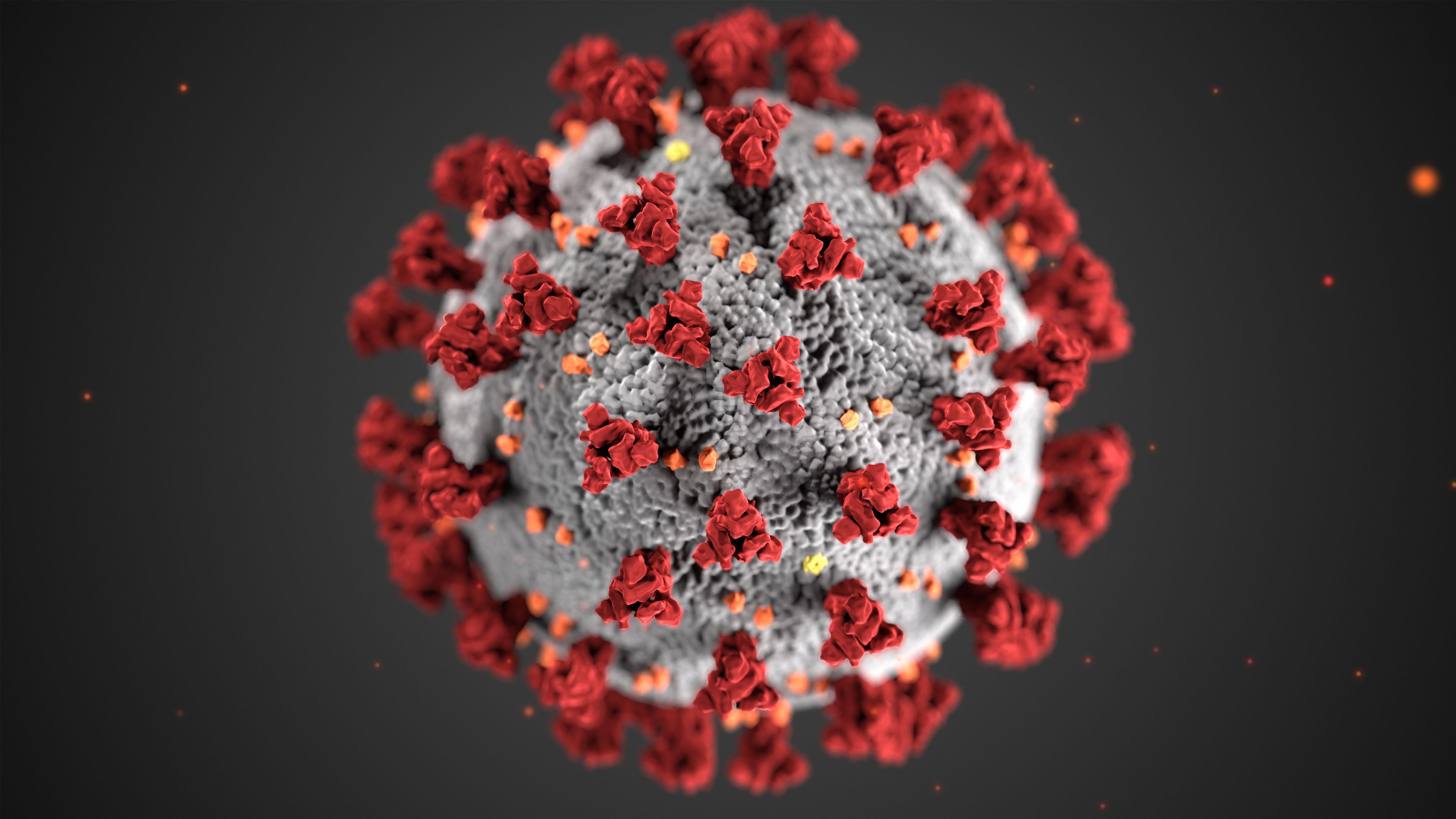 Coronavirus