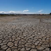 Día Mundial de la Lucha contra la Desertificación y Sequía: tres iniciativas para mejorar el uso del agua en Chile