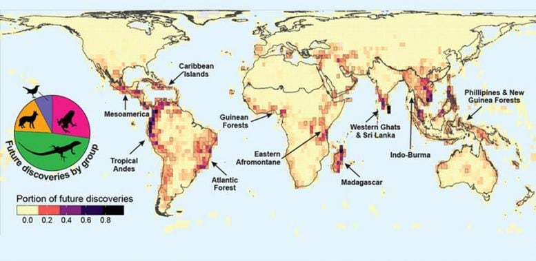 mapa vida no descubierta