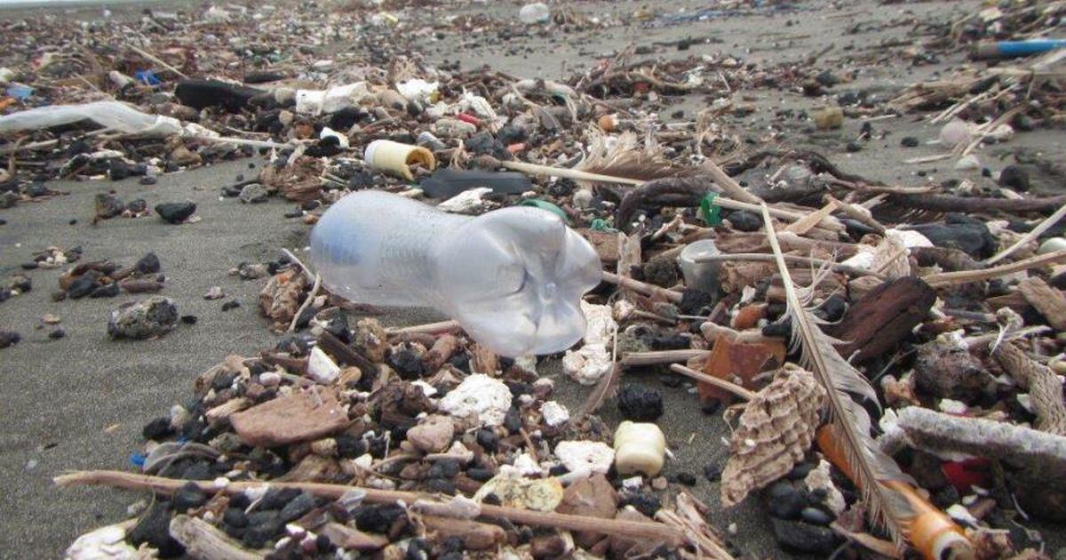 Descubrir Imagen Quien Debe Limpiar La Basura De Las Playas Viaterra Mx