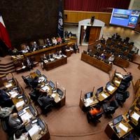 Senado aprueba proyecto de Ley Antiterrorista y lo despacha a la Cámara de Diputadas y Diputados