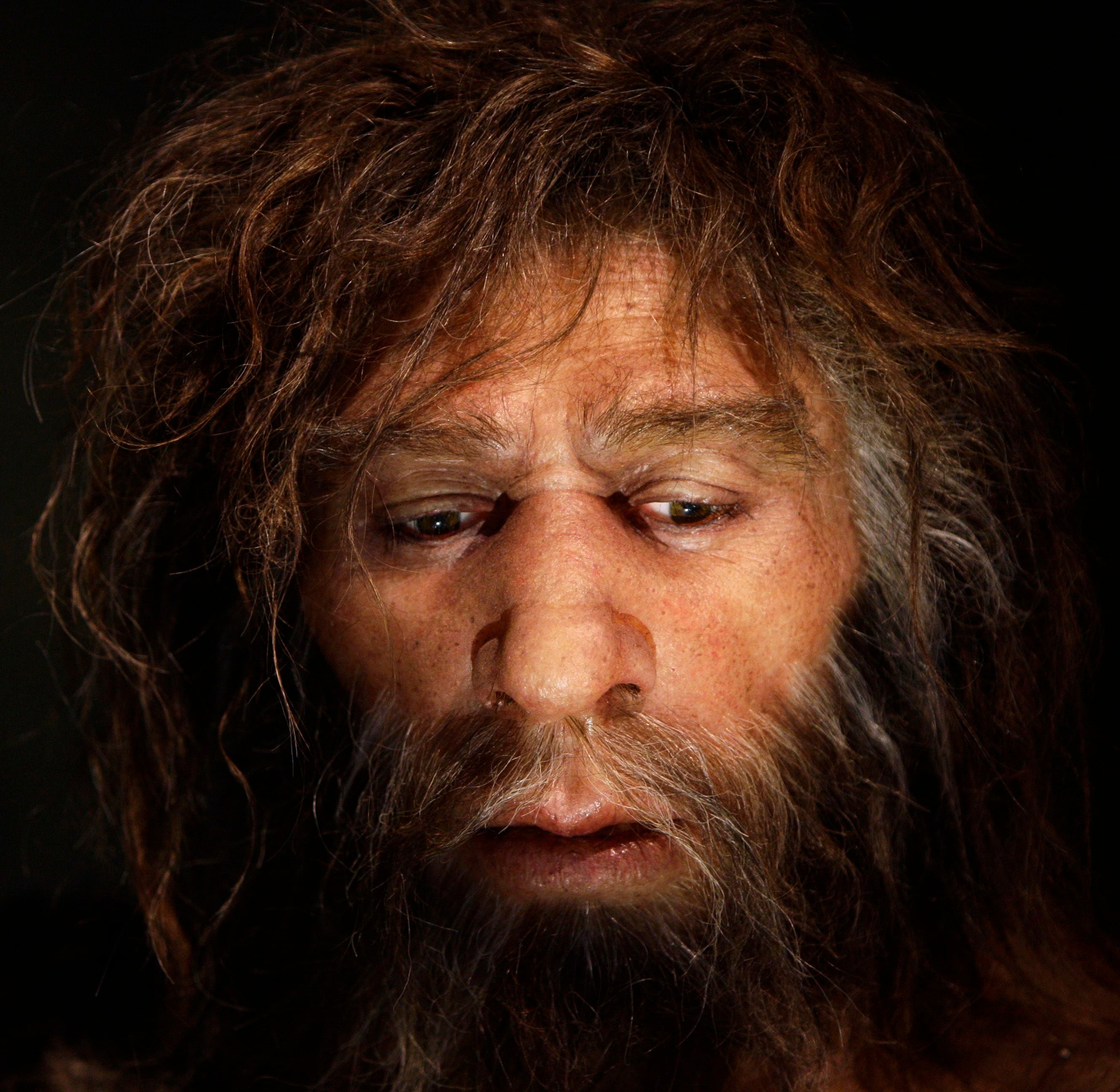 To match Reuters Life! NEANDERTHAL-CROATIA/MUSEUM