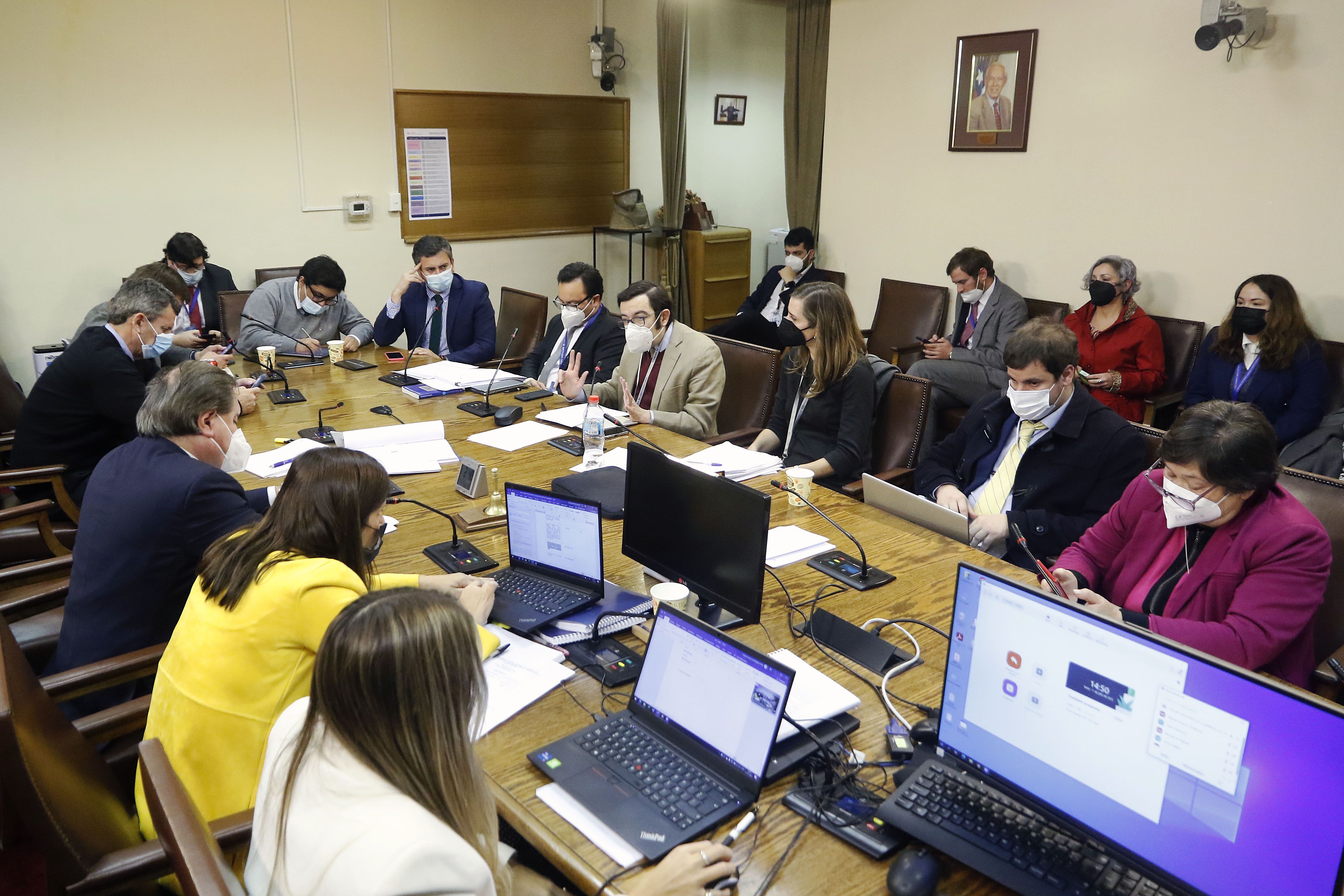 Comisiones Cámara de Diputados. 11 de Julio 2022