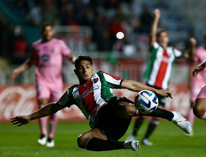 Palestino