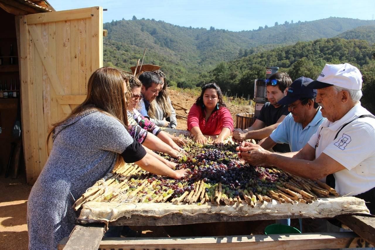 Fiesta de la Vendimia en Quilpué