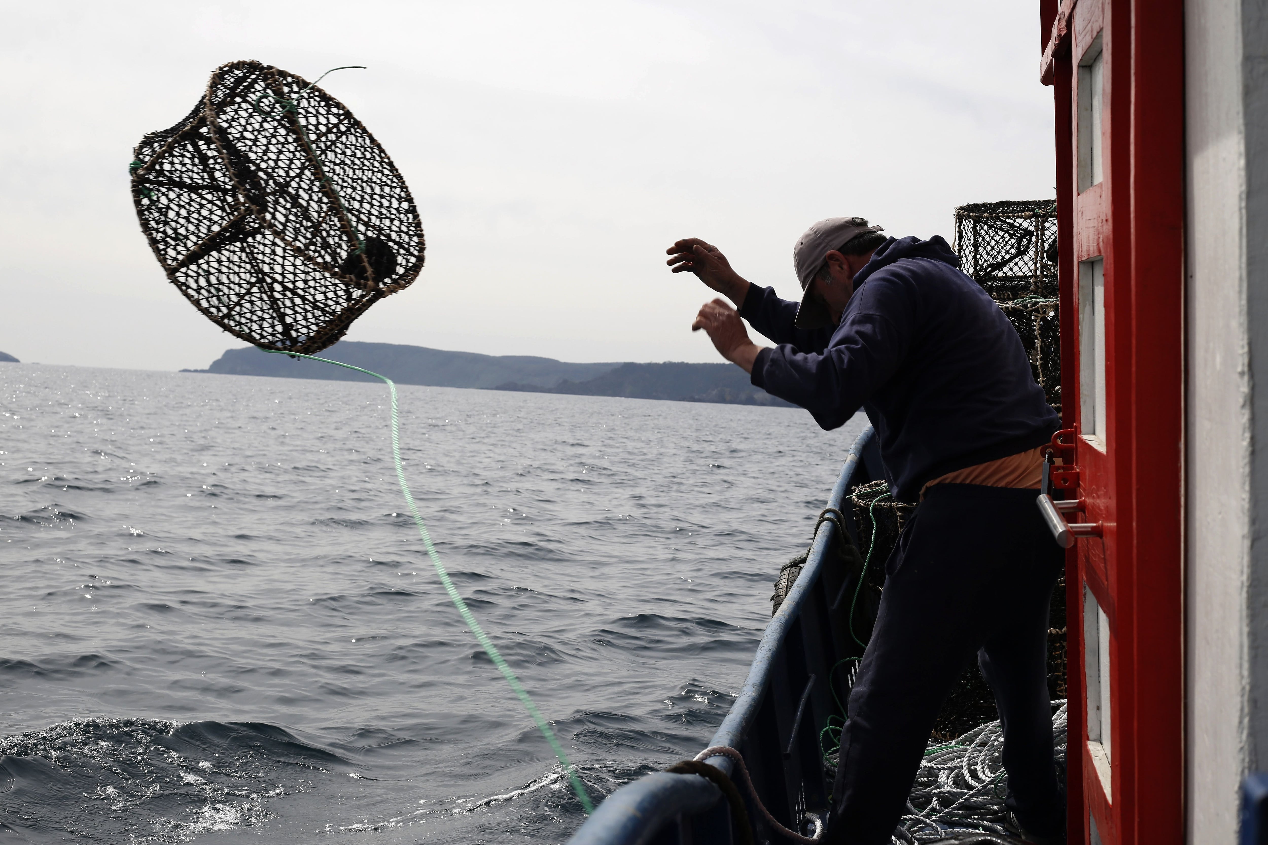 TALCAHUANO: Pesca artesanal en caleta de San Vicente