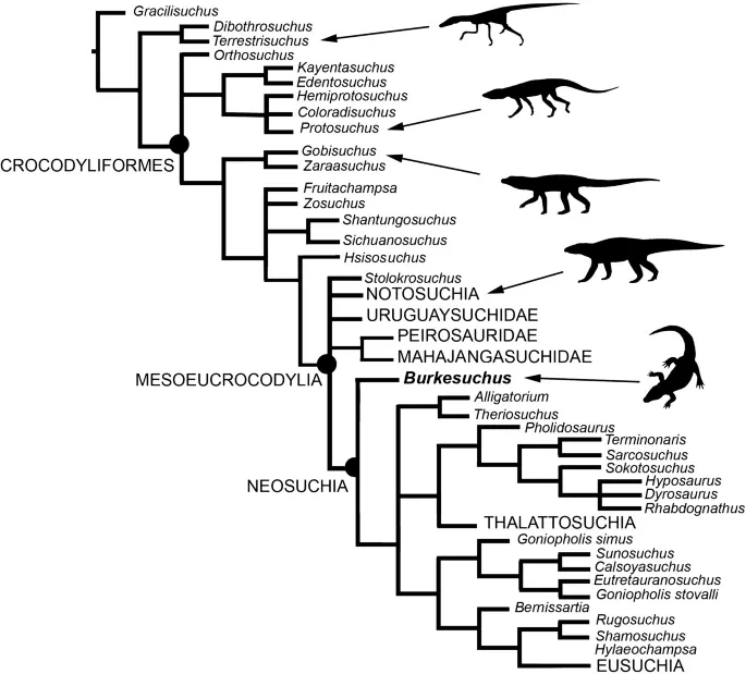 cocodrilo prehistórico