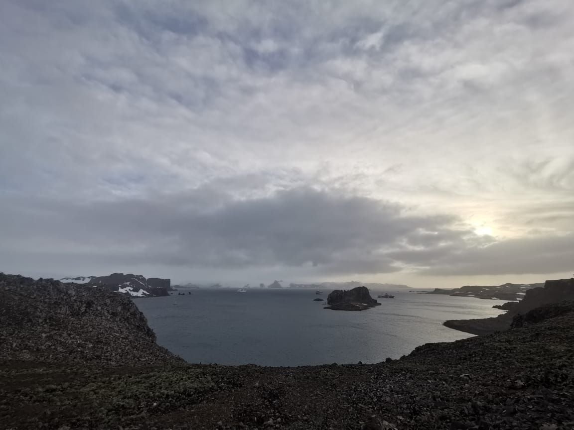 Antártica Opinión