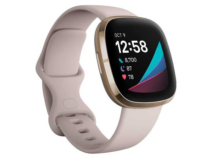 fitbit 1