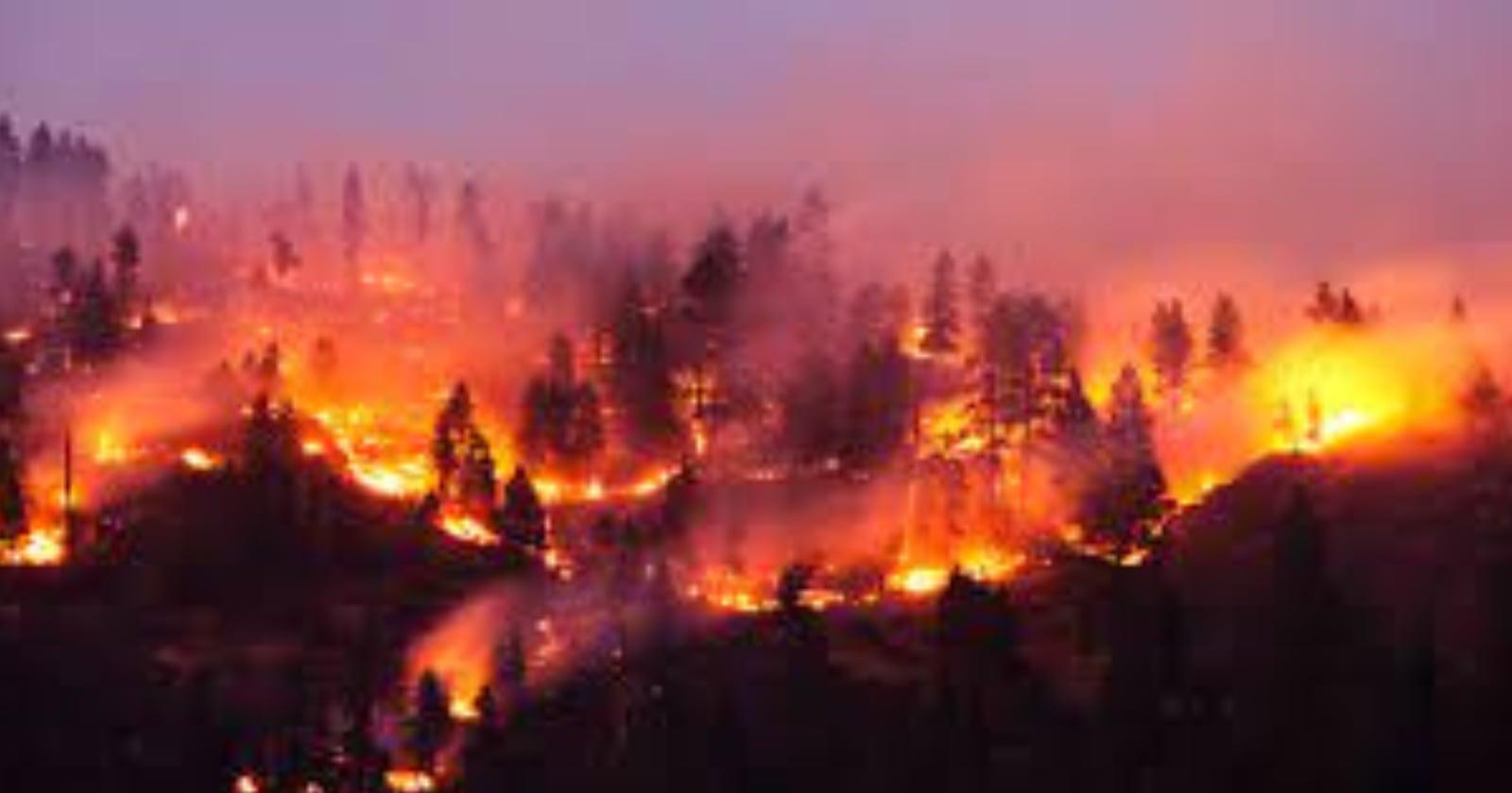 Incendio en Lumaco